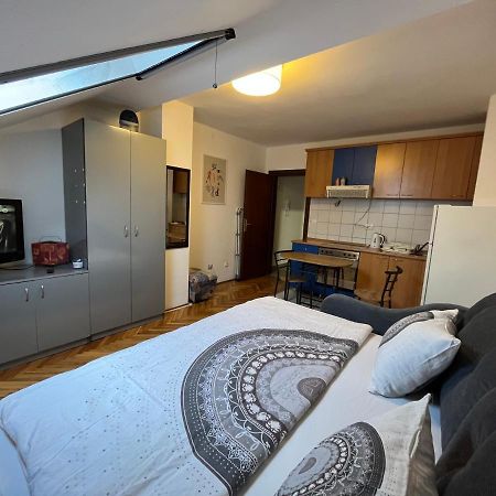 Appartement Studio In The Centre Of Novi Sad Extérieur photo