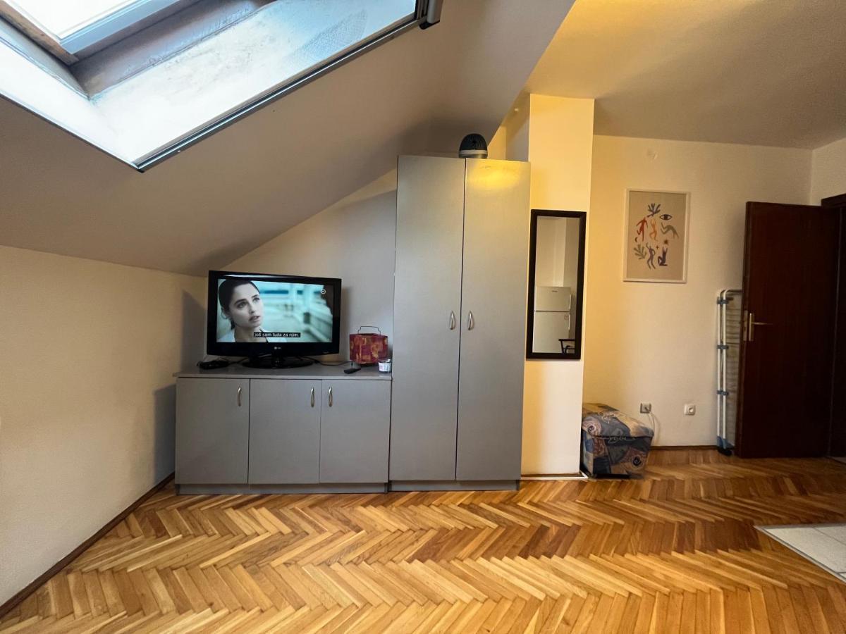Appartement Studio In The Centre Of Novi Sad Extérieur photo