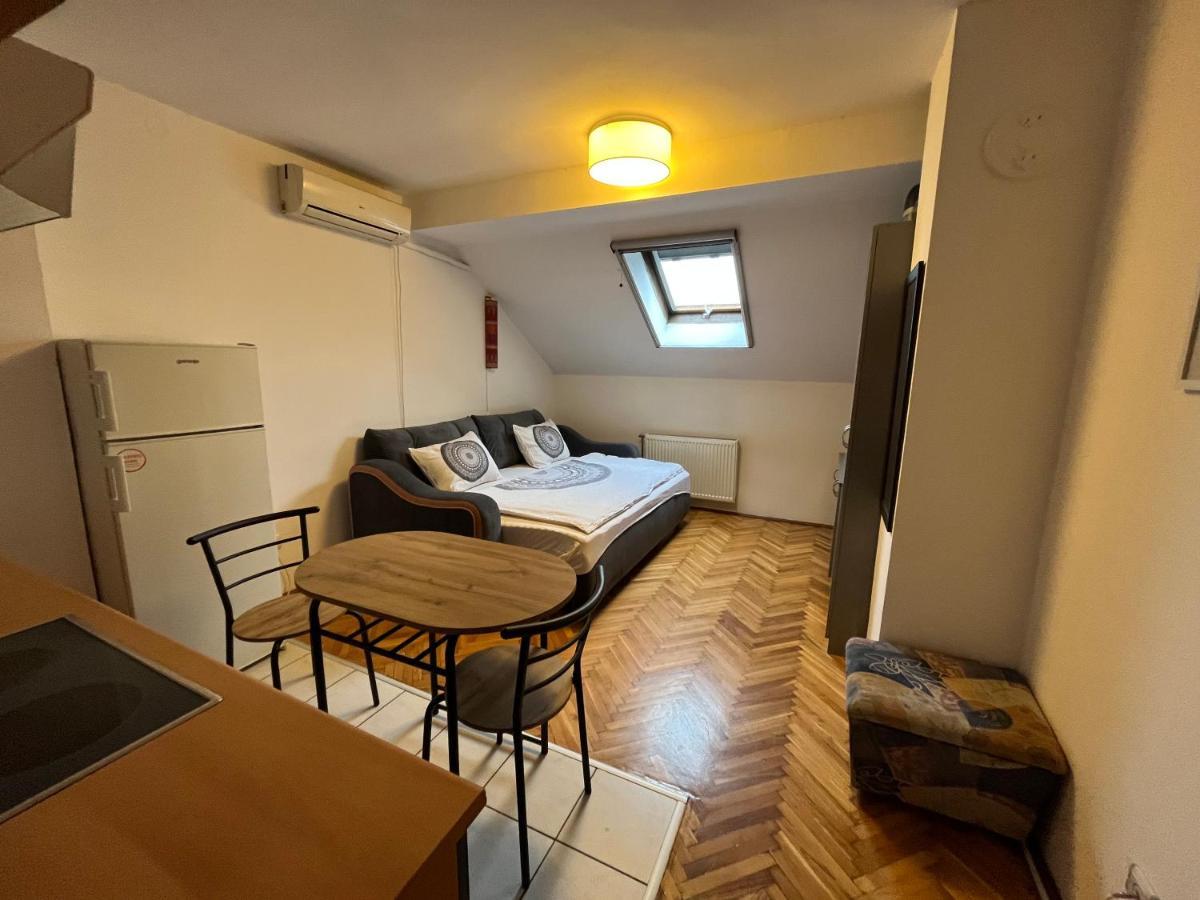 Appartement Studio In The Centre Of Novi Sad Extérieur photo