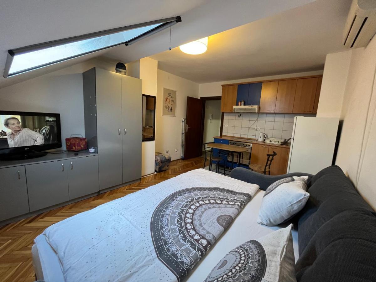 Appartement Studio In The Centre Of Novi Sad Extérieur photo