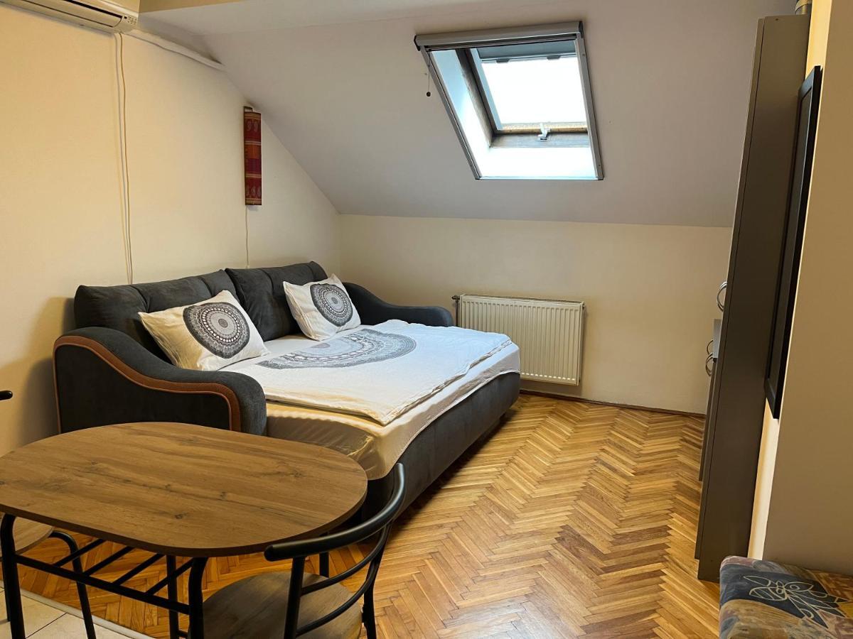Appartement Studio In The Centre Of Novi Sad Extérieur photo