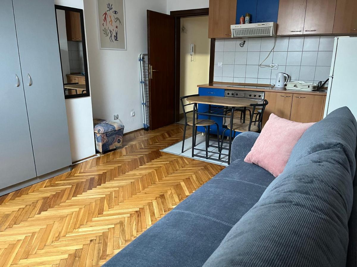 Appartement Studio In The Centre Of Novi Sad Extérieur photo