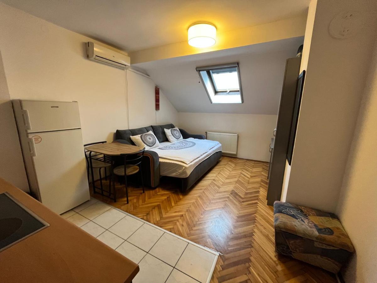 Appartement Studio In The Centre Of Novi Sad Extérieur photo